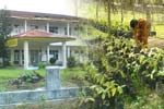 Nomor 9